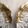 alas de ángel