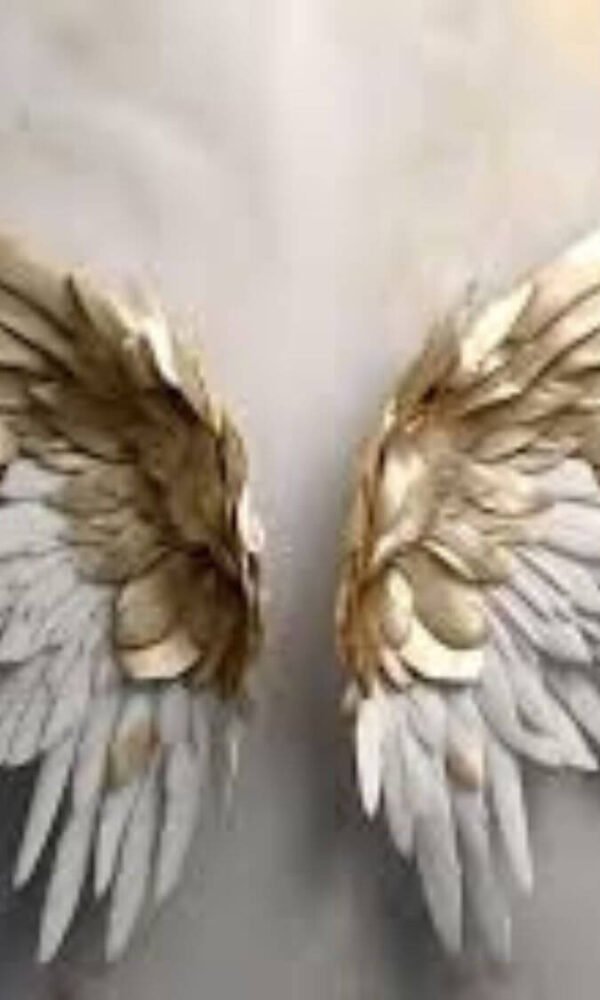 alas de ángel
