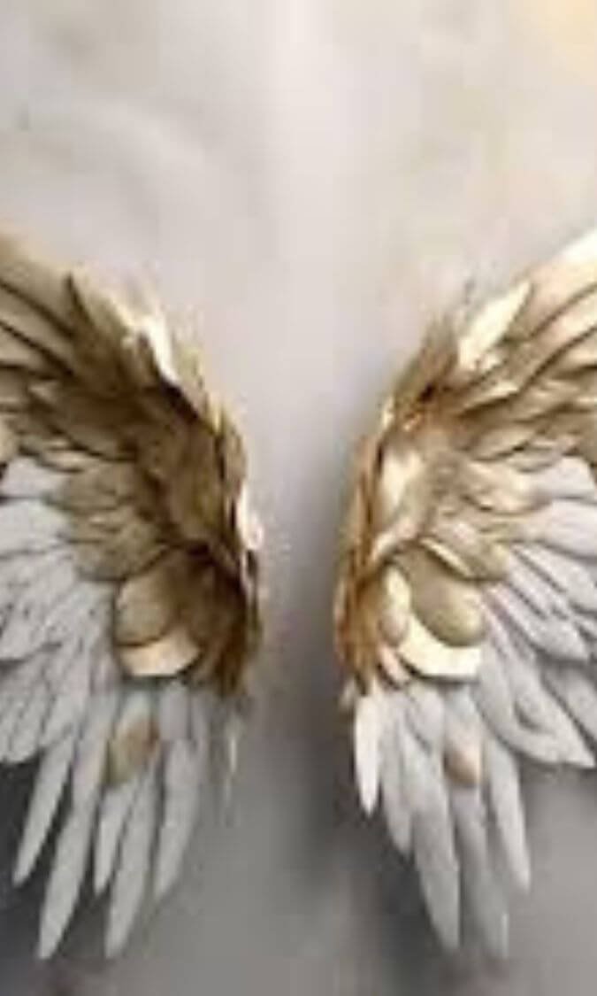 alas de ángel