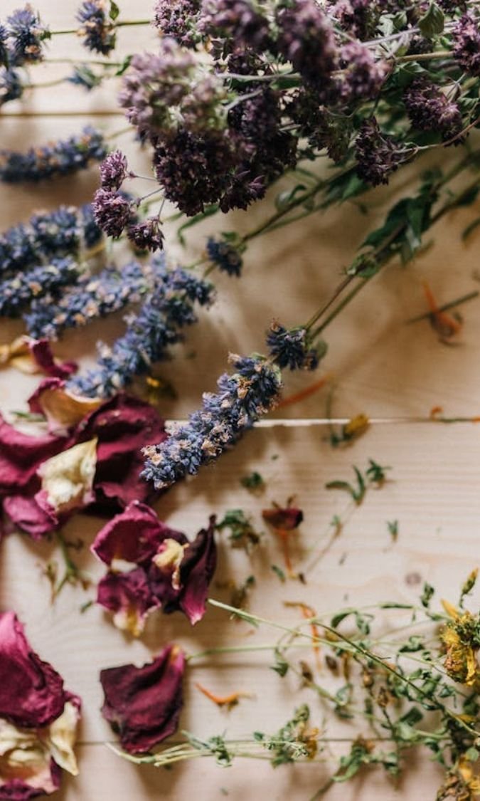 plantas lavanda y rosa